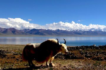 Central Tibet tour