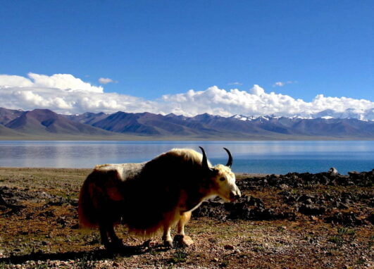 Central Tibet tour