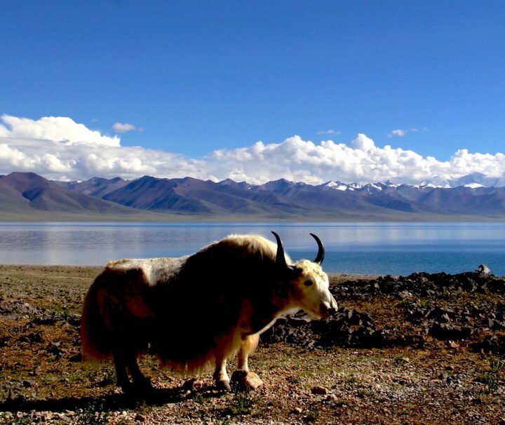 Central Tibet tour