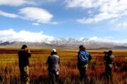 Qinghai tour